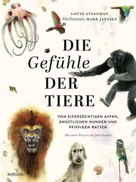 Dieses Buch bei Amazon.de bestellen.