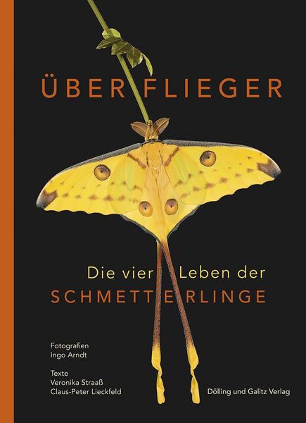 Dieses Buch bei Amazon.de bestellen.