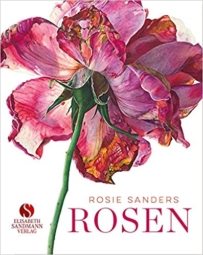 Dieses Buch bei Amazon.de bestellen.