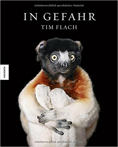 Dieses Buch bei Amazon.de bestellen.