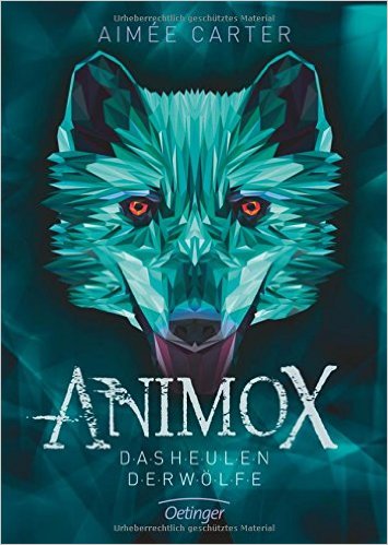 Dieses Buch bei Amazon.de bestellen.