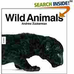 Dieses Buch bei Amazon.de bestellen.